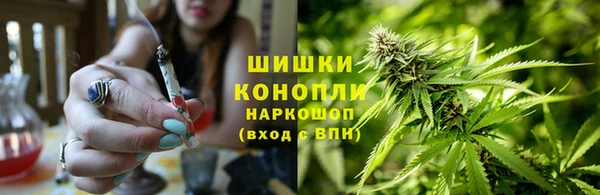бошки Алзамай