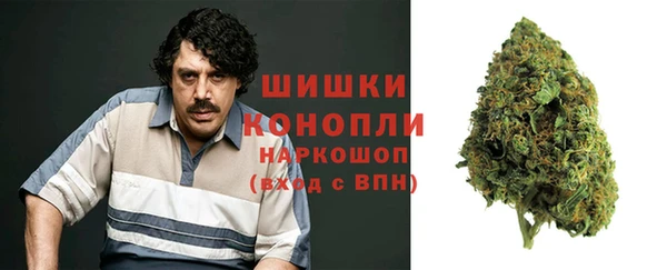 бошки Алексин