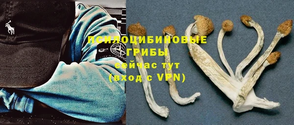 метадон Алексеевка