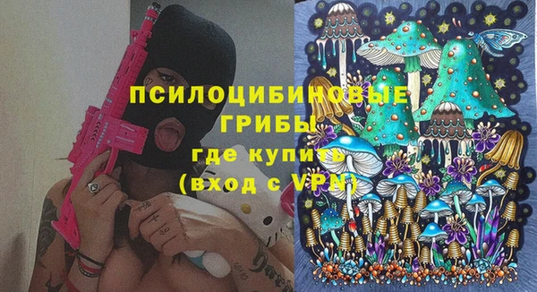 бошки Алексин