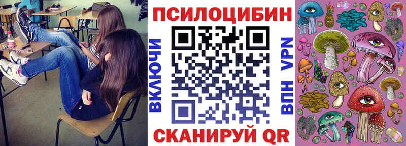 Галлюциногенные грибы Psilocybine cubensis  купить   Набережные Челны 